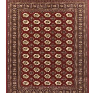 Χαλί - Royal Carpet - Sherazad 6465/8874 Red - 200x290